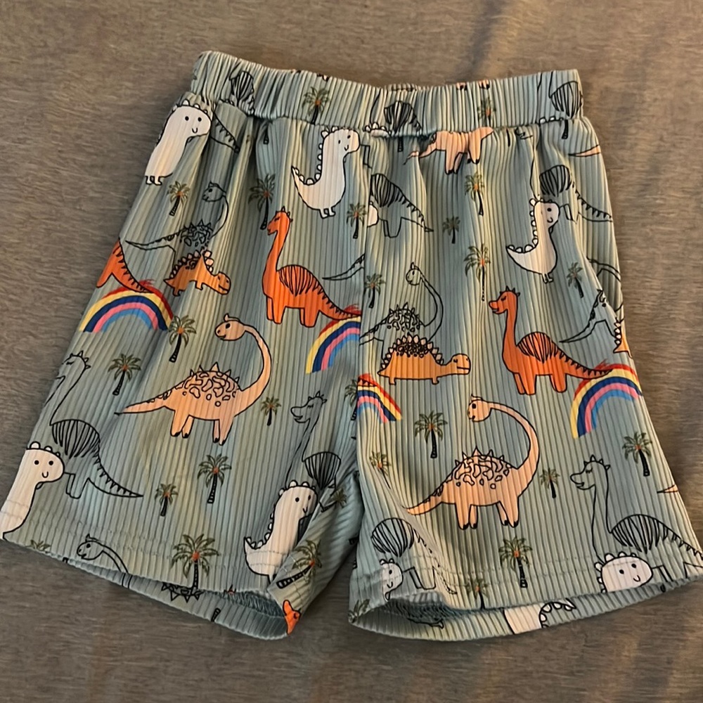 Boys Dinosaur 🦕 Shorts 2-3Y